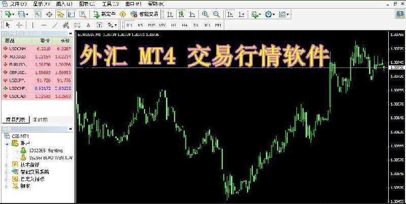mt4外汇软件平台搭建供应商
